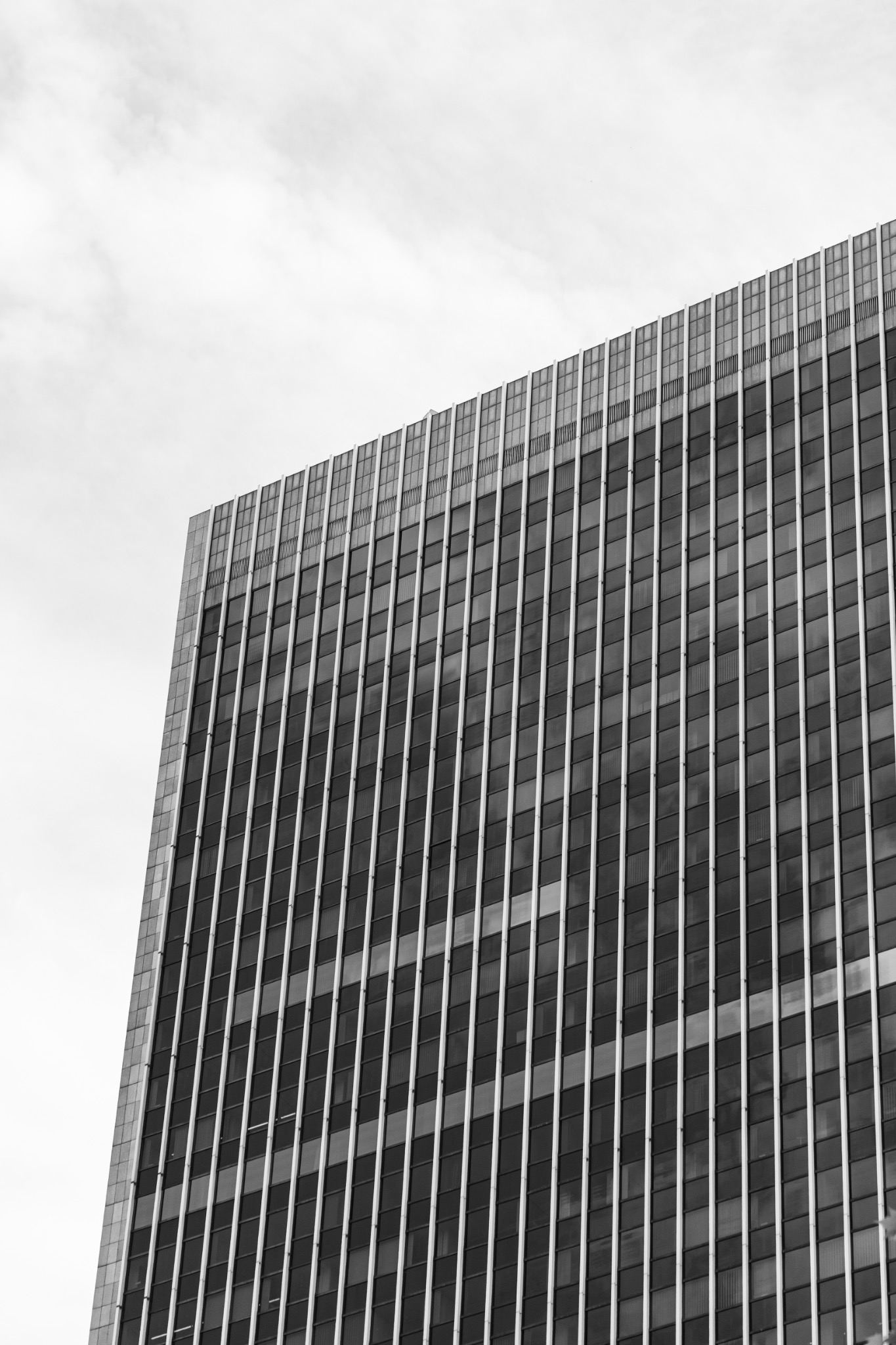 Façade sombre aux lignes verticales en noir et blanc